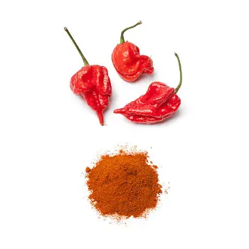 Fresh Organic Red chilli Powder Exporter 